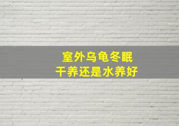 室外乌龟冬眠干养还是水养好