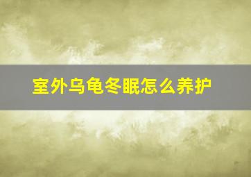 室外乌龟冬眠怎么养护