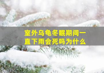 室外乌龟冬眠期间一直下雨会死吗为什么