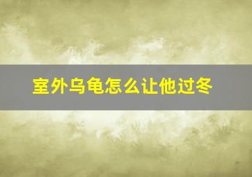 室外乌龟怎么让他过冬