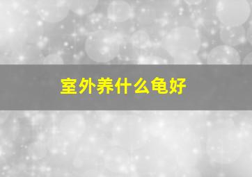 室外养什么龟好