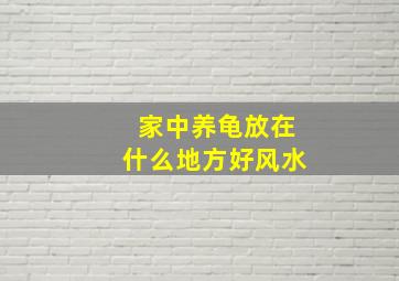 家中养龟放在什么地方好风水