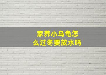 家养小乌龟怎么过冬要放水吗