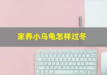 家养小乌龟怎样过冬