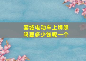 容城电动车上牌照吗要多少钱呢一个