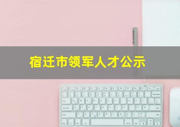 宿迁市领军人才公示