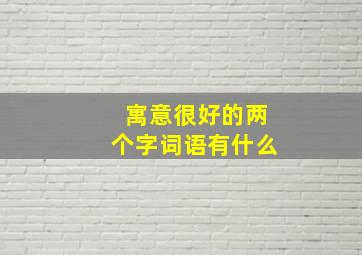 寓意很好的两个字词语有什么