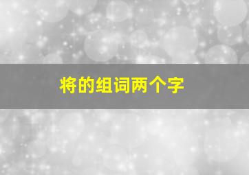 将的组词两个字