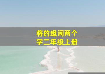 将的组词两个字二年级上册