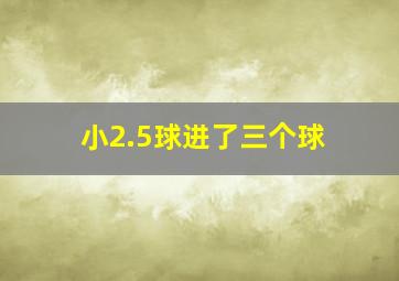 小2.5球进了三个球