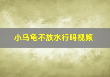 小乌龟不放水行吗视频