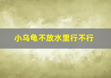 小乌龟不放水里行不行