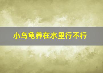 小乌龟养在水里行不行