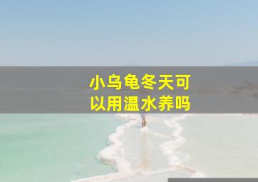 小乌龟冬天可以用温水养吗