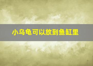 小乌龟可以放到鱼缸里