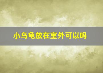 小乌龟放在室外可以吗