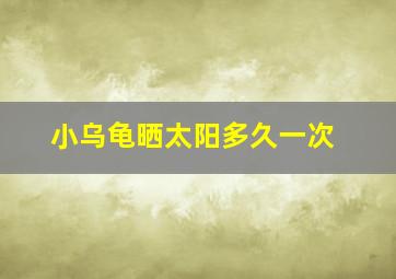 小乌龟晒太阳多久一次