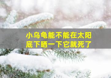 小乌龟能不能在太阳底下晒一下它就死了