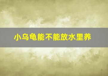 小乌龟能不能放水里养