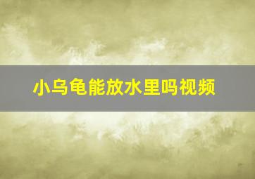 小乌龟能放水里吗视频