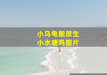 小乌龟能放生小水塘吗图片