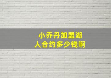 小乔丹加盟湖人合约多少钱啊