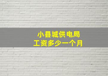 小县城供电局工资多少一个月