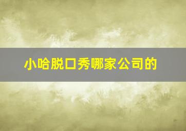 小哈脱口秀哪家公司的