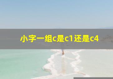 小字一组c是c1还是c4