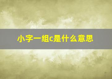 小字一组c是什么意思