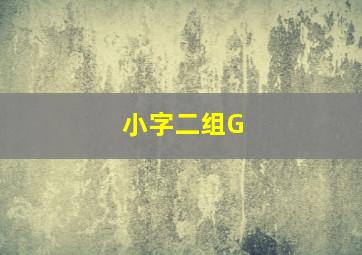 小字二组G