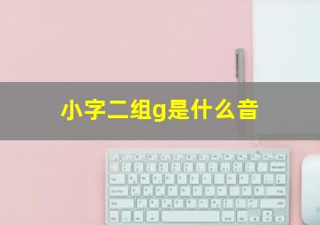 小字二组g是什么音