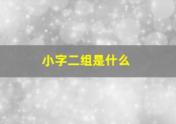 小字二组是什么