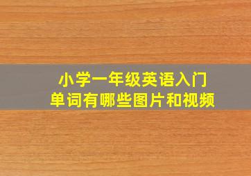 小学一年级英语入门单词有哪些图片和视频