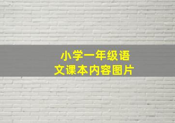 小学一年级语文课本内容图片