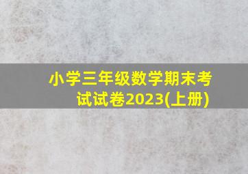 小学三年级数学期末考试试卷2023(上册)