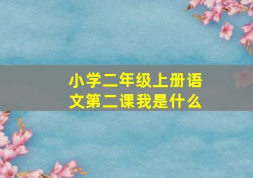 小学二年级上册语文第二课我是什么