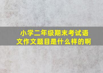 小学二年级期末考试语文作文题目是什么样的啊