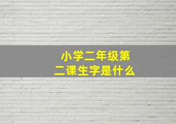 小学二年级第二课生字是什么