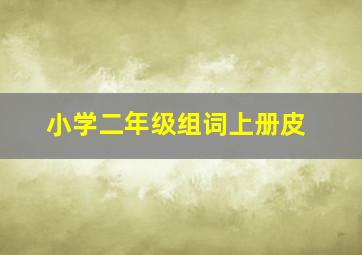 小学二年级组词上册皮