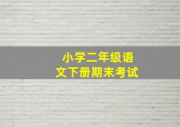 小学二年级语文下册期末考试