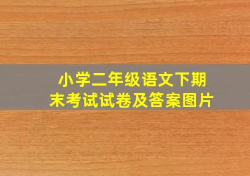 小学二年级语文下期末考试试卷及答案图片