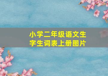 小学二年级语文生字生词表上册图片