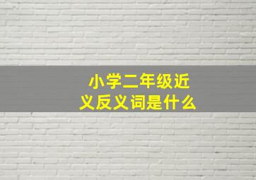 小学二年级近义反义词是什么