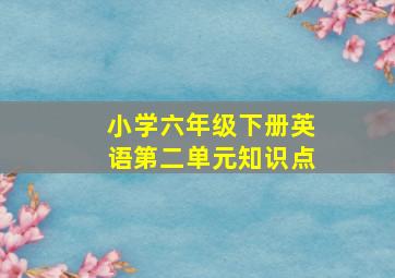 小学六年级下册英语第二单元知识点