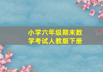 小学六年级期末数学考试人教版下册