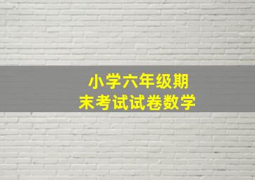 小学六年级期末考试试卷数学