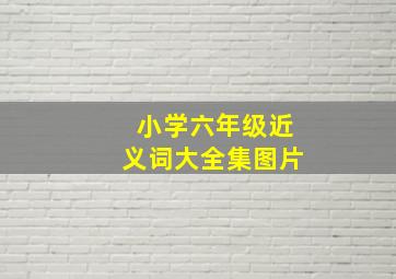 小学六年级近义词大全集图片