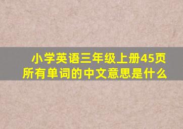 小学英语三年级上册45页所有单词的中文意思是什么