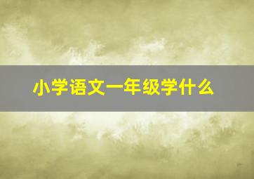 小学语文一年级学什么